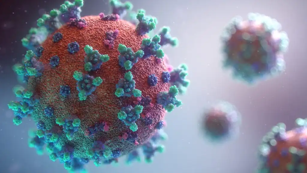H5N1, Oropouche e mpox: os três vírus que mais preocupam a saúde global em 2026