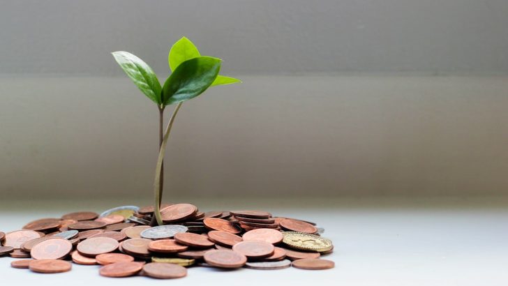Previdencia privada 2026: PGBL vs VGBL, como escolher, quanto investir e quando resgatar