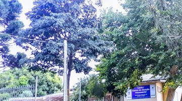 Centro de Atenção Psicossocial (CAPS), porta de entrada da rede pública de saúde mental